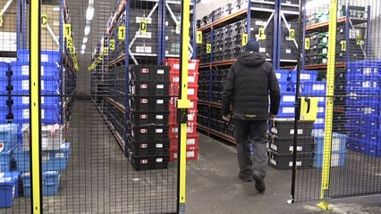 Die "Arche Noah der Pflanzen" droht zu sinken