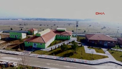 Bolu'nun Hayvan Hastanesinde, Hayvanlar Tedavi Ediliyor