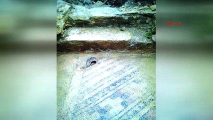 Adana-Tuvalet Çukuru Kazdığı Alanda, Roma Dönemi Mozaik Buldu