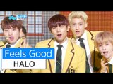 [HOT] HALO - Feel So Good, 헤일로 - 느낌이 좋아, Show Music core 20160116