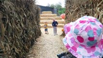 Toddler Demands Pumpkin Spice Latte