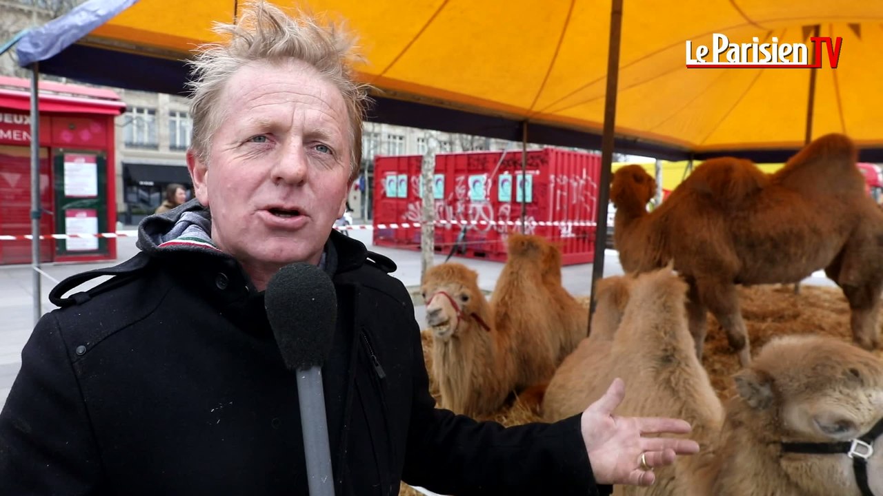 Les circassiens défendent la présence des animaux sur leurs spectacles