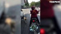 Dog Jumps Onto Motor bike