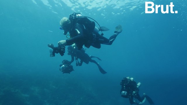 Rencontre avec Keith Scholey, le réalisateur du documentaire Blue de Disneynature