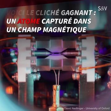 Diaporama : de bluffantes photos d'un concours d'ingénierie