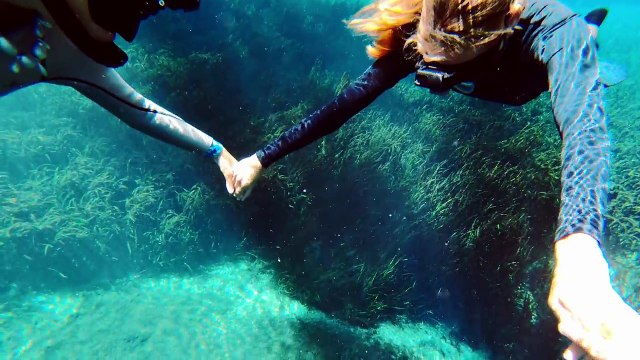 GoPro Freediving with Tiger Sharks in 4K