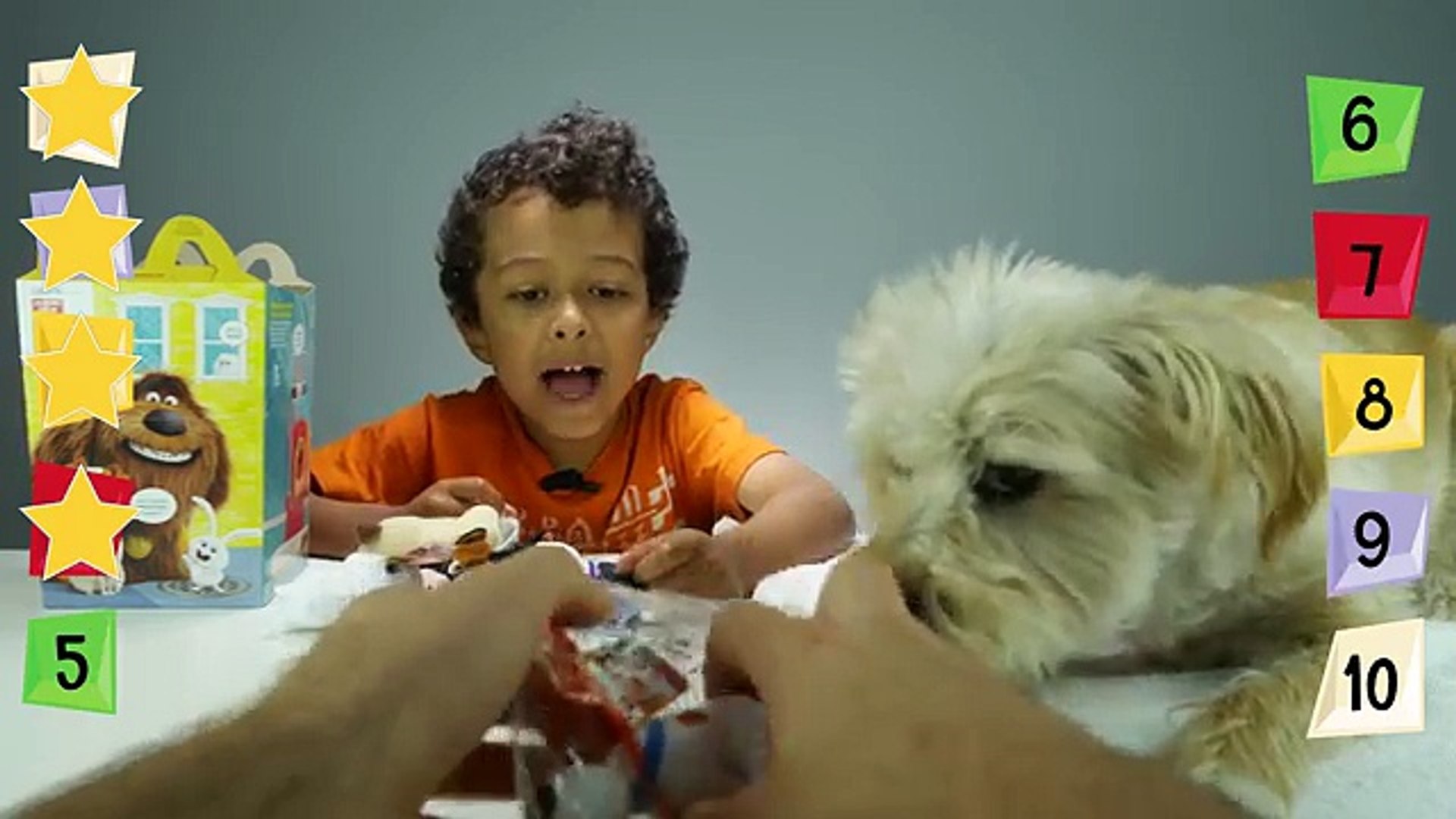 ⁣The Secret Life Of Pets McDonalds Happy Meal Toys Set + Charlie OUR pet Morkie ✳ TottyChoCho