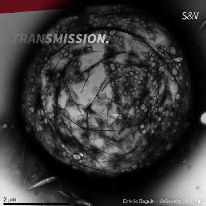 Diaporama : de bluffantes photos d'un concours d'ingénierie