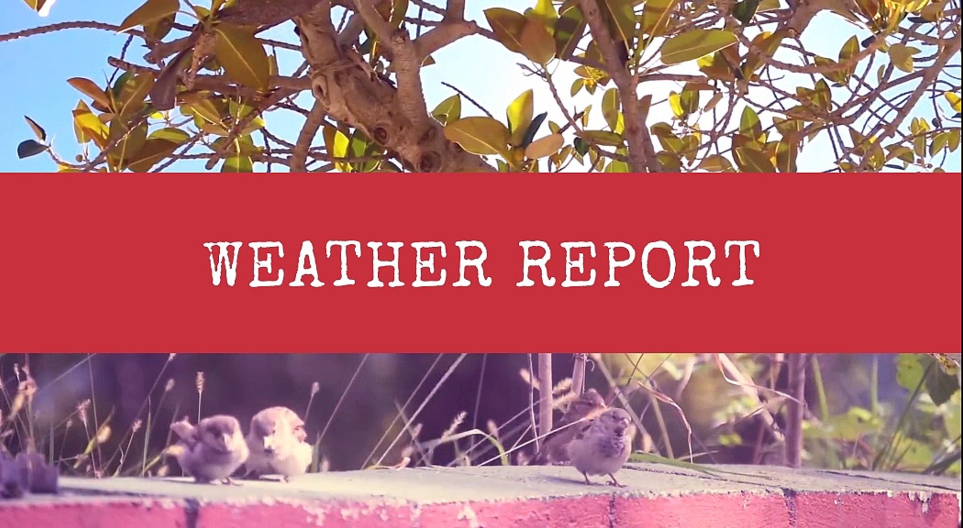 Today's Latest Weather News