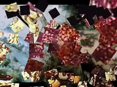 Top 10 Most Dangerous Animals on the Planet