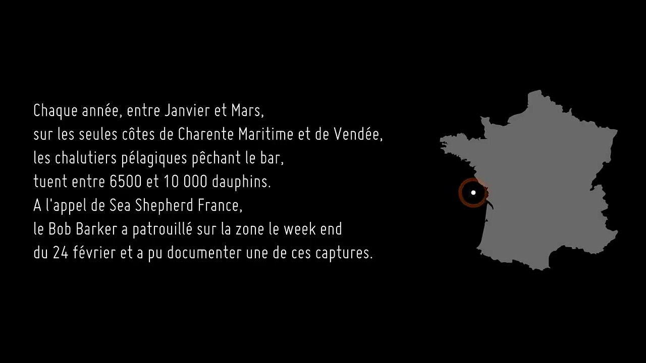 Sea Shepherd : Comment la France extermine ses dauphins