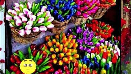 ❤️️❤️️ DZIEŃ KOBIET   08. O3.2018.  ❤️