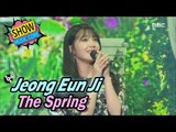 [Comeback Stage] Jeong Eun Ji - The Spring, 정은지 - 너란 봄 Show Music core 20170415