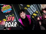 [HOT] SF9 - ROAR(부르릉),  Show Music core 20170304