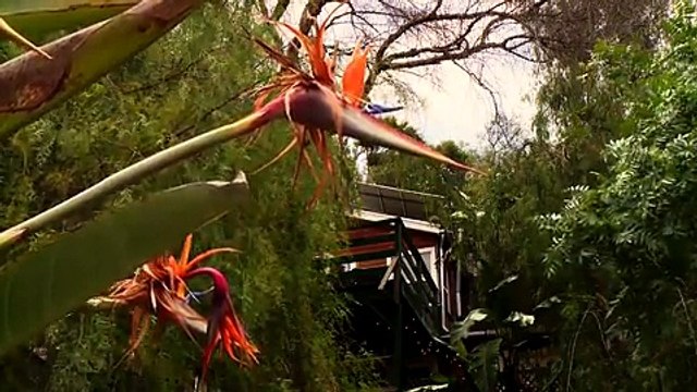 Family Feud! Billy Brown’s Son Noah Separated From ‘Alaskan Bush People’ Clan