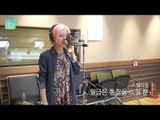 [테이의 꿈꾸는 라디오] Stella Jang - Vanishing Paycheck, 스텔라장-월급은 통장을 스칠 뿐 20170503