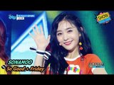 [Comeback Stage] SONAMOO - So Good  Friday Night, 소나무 - So Good   금요일밤 Show Music core 20170819