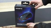 GIGABYTE Raptor Gaming Mouse Review
