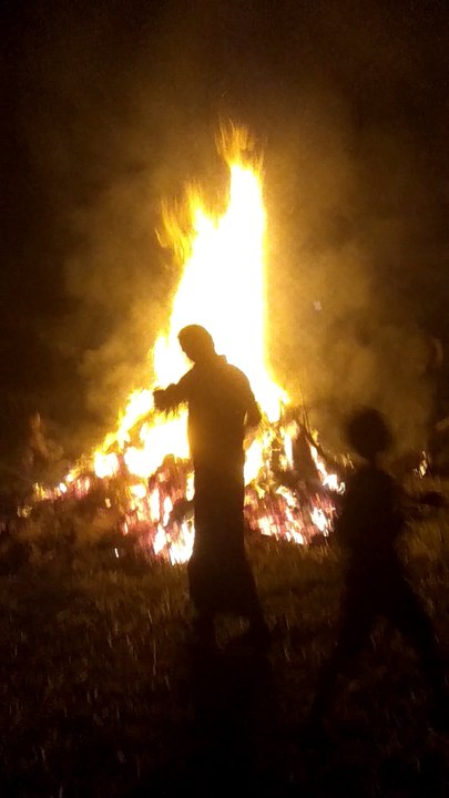Holi fire
