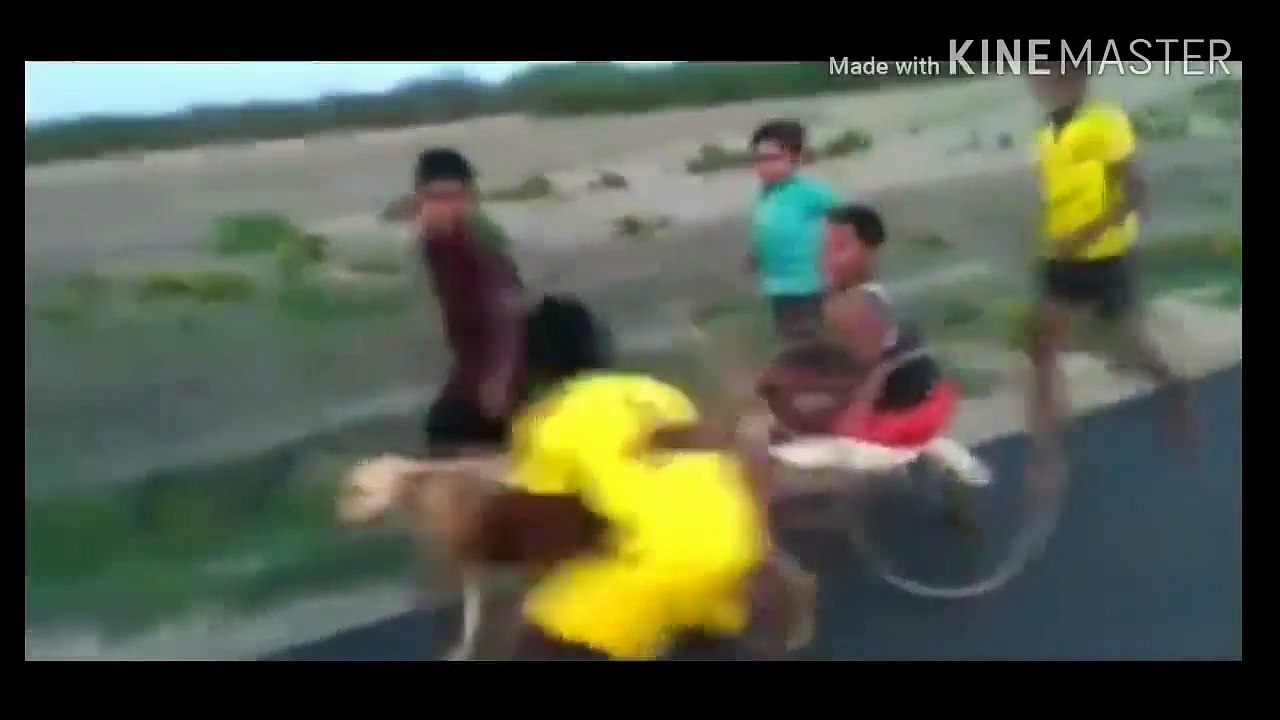 [MP4 720p] Funniest viral video _ Invouge whatsapp viral video _ clips that will make you laugh for sure