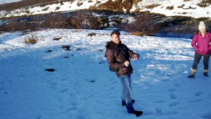 Drone Proposal Doesn't Go as Planned