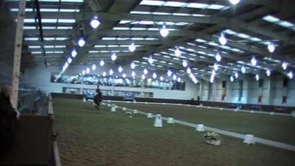 British Dressage Winter Regionals