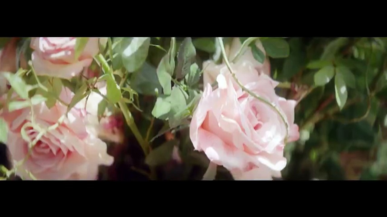 Death in Bloom  2015