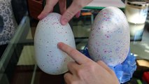 My Baby Twins are Hatching!! Hatchimals Surprise Eggs Owlicorn and Pengualas Hatching
