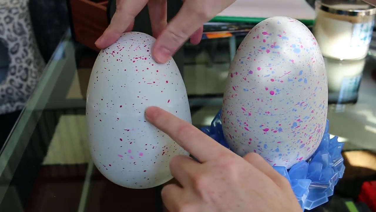My Baby Twins are Hatching!! Hatchimals Surprise Eggs Owlicorn and Pengualas Hatching