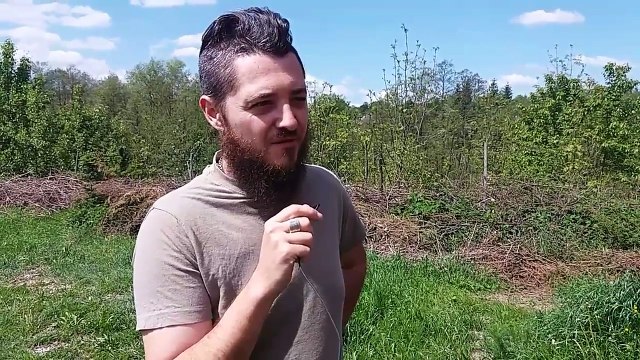 48.Magia koniczyny Wasciwosci magiczne