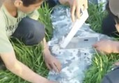Kids Help Remove a Battery From Drone With Russian Writing Downed Near Frontline in Hama