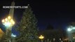Vatican Christmas Tree lights up St. Peter's Square