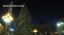 Vatican Christmas Tree lights up St. Peter's Square