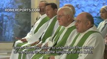 Pope Francis: Christian identity comes from the Holy Spirit, not theological degrees | Pope