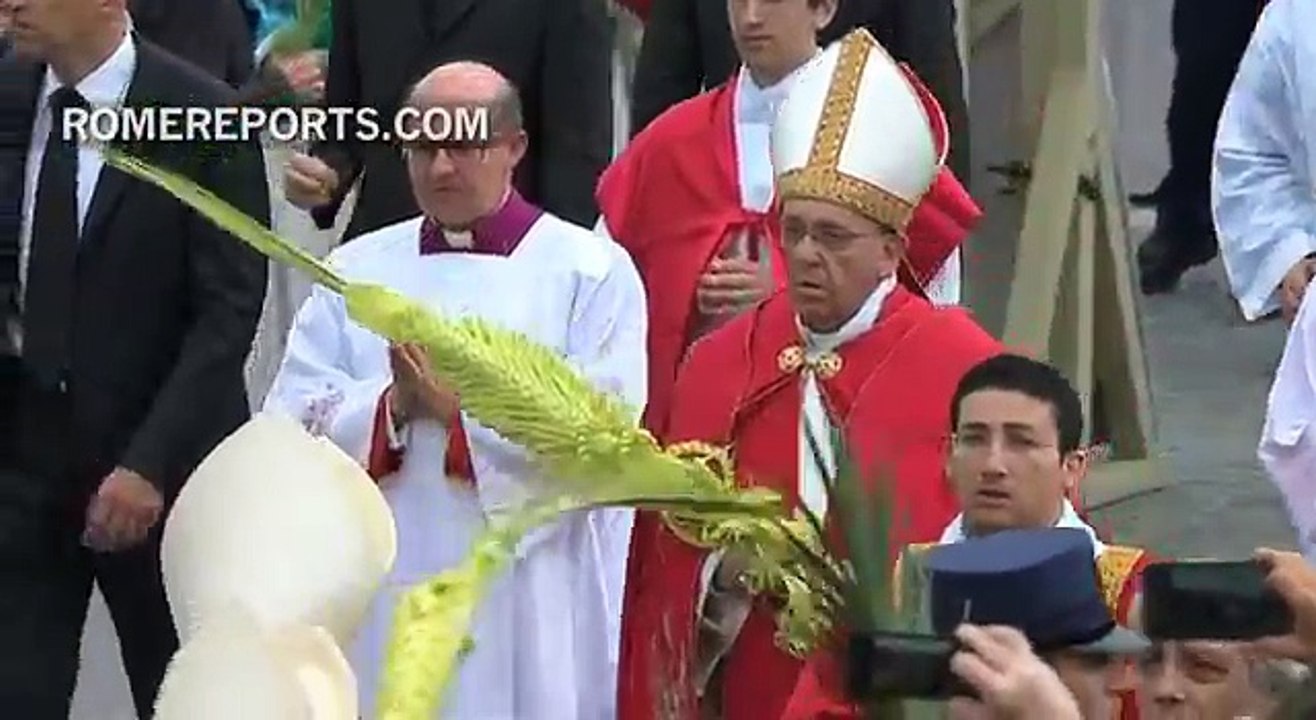 Pope asks powerful questions on Palm Sunday