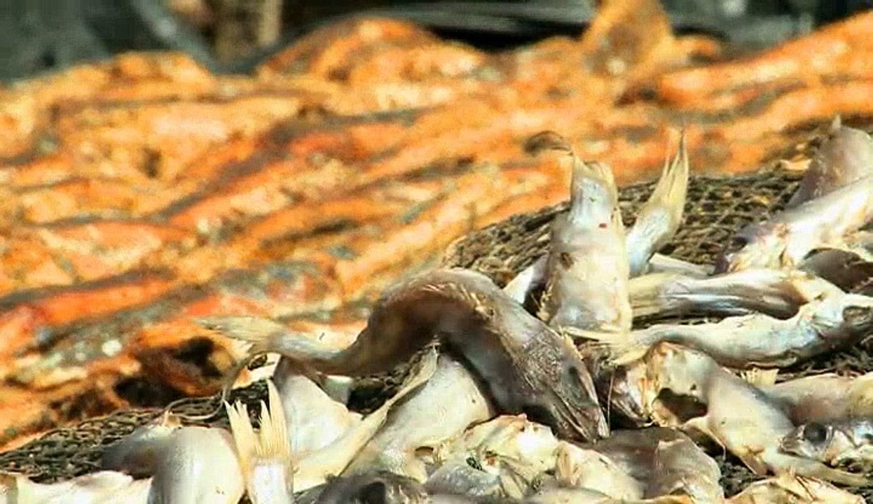 Extreme Fishing with Robson Green S03 E06 West Africa Dailymotion Video