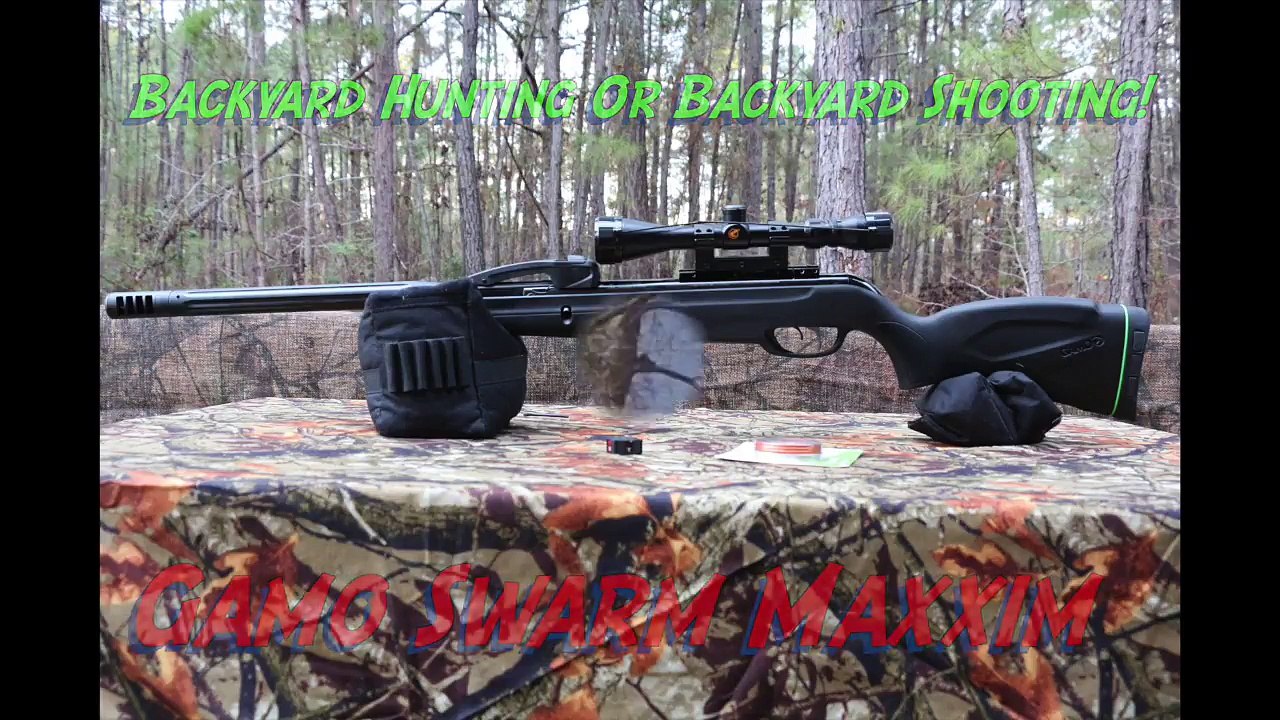 Gamo Swarm Maxxim, Backyard Hunting Or Backyard Shooting!