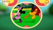 O Rato Mickey | Mickeys Mousekersize | Mouse Clubhouse | ZigZag Kids HD