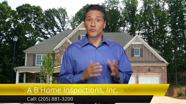 A B Home Inspections Inc. Birmingham Great Five Star Review by Kelly S.