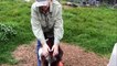 Raising & Caring for Our Dairy Goats