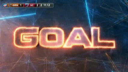 ECHL South Carolina Stingrays 4 at Greenville Swamp Rabbits 3