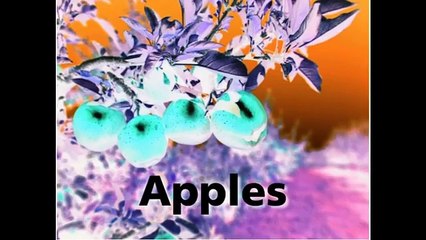 Baby MacDonald in G Major [Part 2]