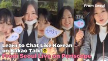 'Learn to Chat Like Korean on Kakao Talk' Summary Video
