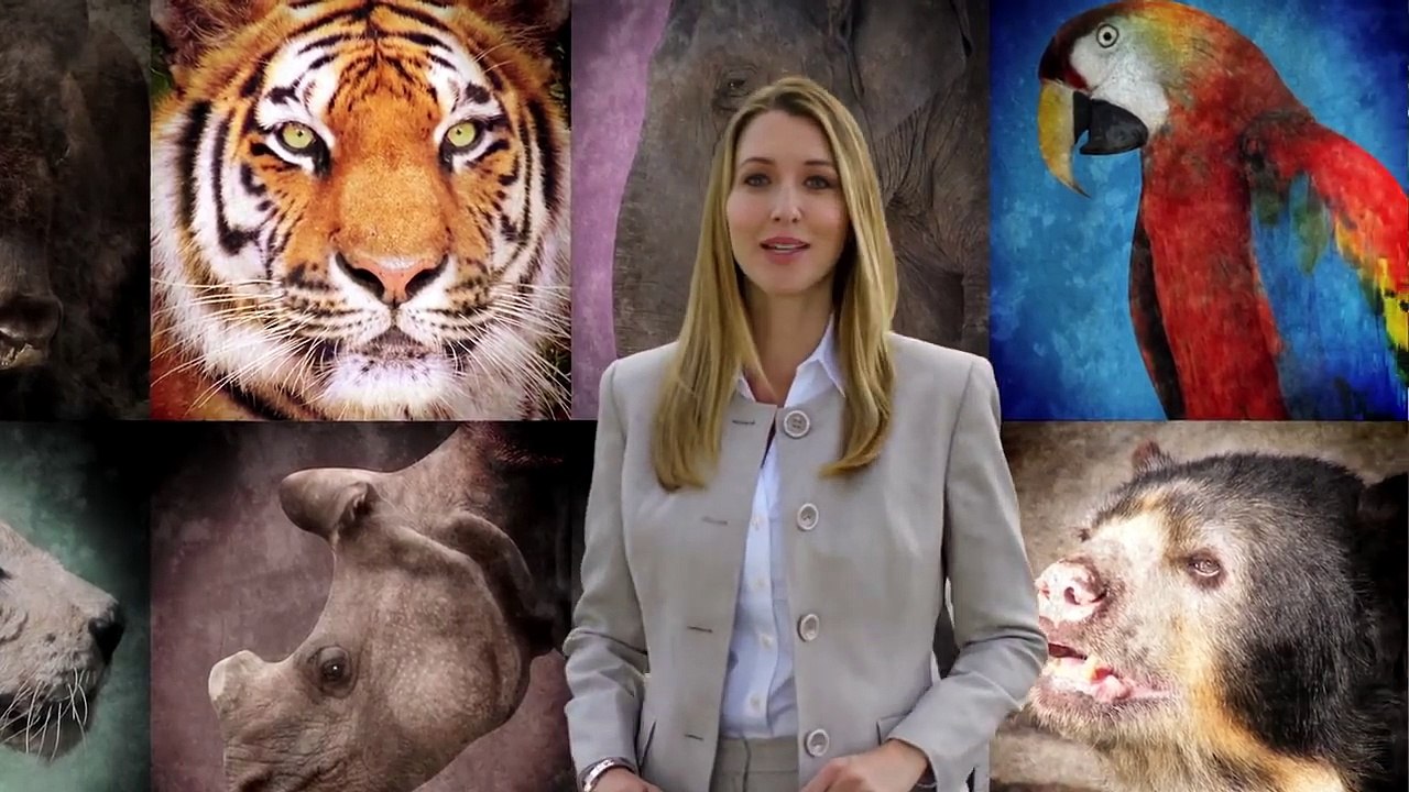 Zoombies (2016) - Movie Review