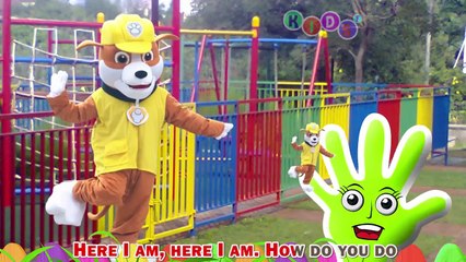 Paw Patrol Batman Family Finger Family Nursery Rhymes ◕‿◕ KidsF