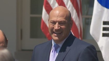 Trump's top economic adviser resigns