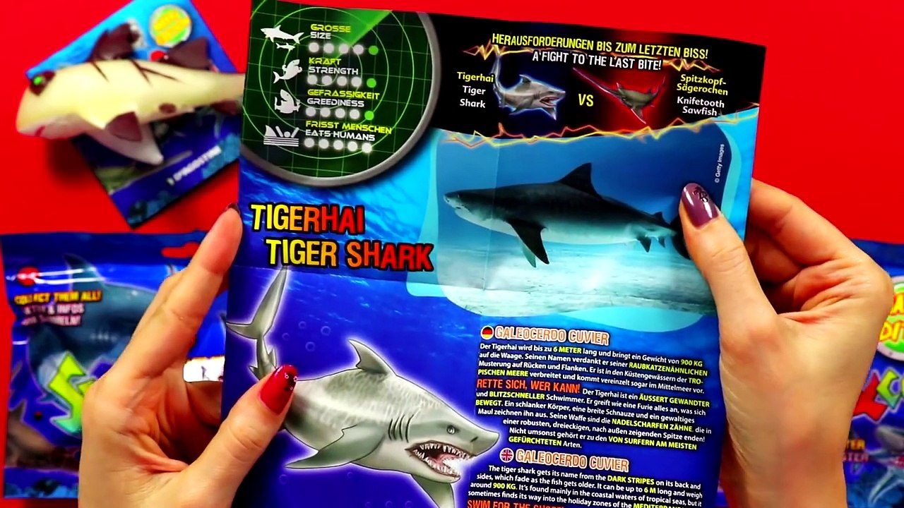 SHARKS & CO Figures Maxxi Edition Ƹ̴Ӂ̴Ʒ DeAgostini | Unboxing blind bags opening