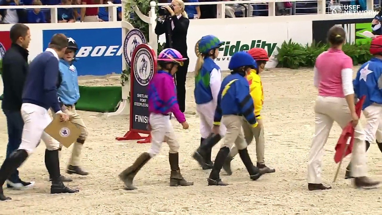 Shetland Pony Race!