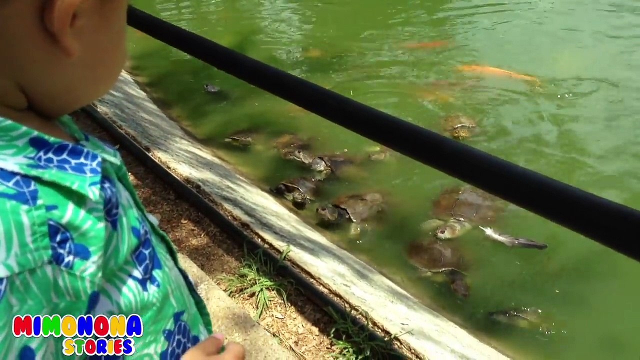 Animales del Zoologico, Granja, Safari | Diego de visita al Zoo | Mimonona Stories