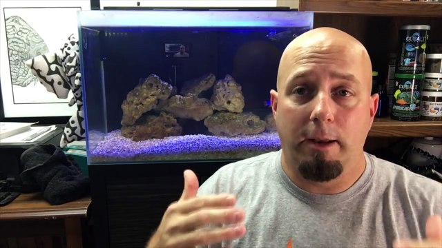 New Fluval EVO Reef Tank and Saltwater Tank Update! KGTropicals!!